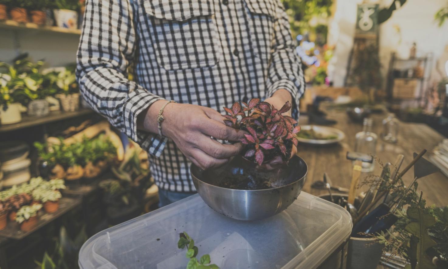 Процес навчання